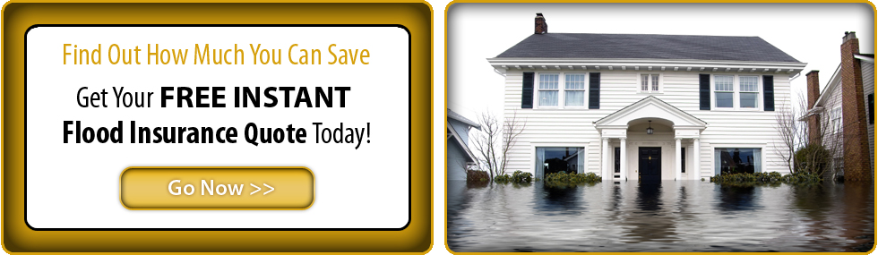 Gulf Coast Flood Insurance
